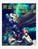 黃金雇傭兵 黃金雇傭兵