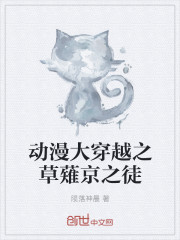 動漫大穿越之草薙京之徒