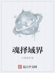 魂擇域界