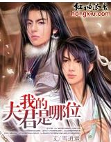 我的夫君是哪位（全本）