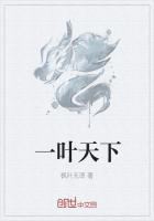一葉天下