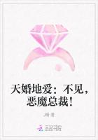 天婚地愛：不見，惡魔總裁！