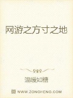 網遊之方寸之地