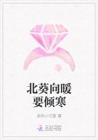北葵向暖要傾寒