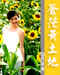 蒼茫黃土地