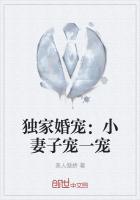 獨家婚寵：小妻子寵一寵