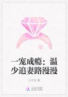 一寵成癮:溫少追妻路漫漫 一寵成癮:溫少追妻路漫漫