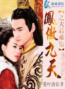 鳳傲九天之夫君難追