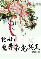 輪回：魔尊梟寵冥王