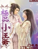 極品小王爺 極品小王爺