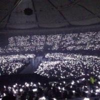 對你的愛不是過分的崇拜