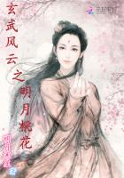 玄武風雲之明月桃花