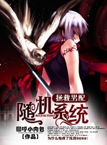 拯救男配之隨機係統