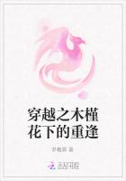 穿越之木槿花下的重逢 穿越之木槿花下的重逢