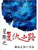 星際之複仇之路