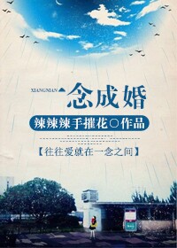 一念成婚 一念成婚