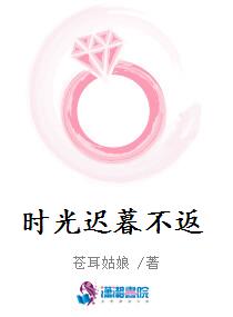 時光遲暮不返