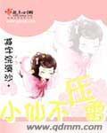小仙不壓雷