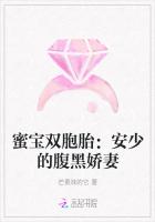 蜜寶雙胞胎:安少的腹黑嬌妻 蜜寶雙胞胎:安少的腹黑嬌妻