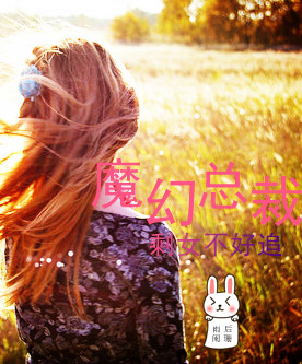 魔幻總裁：剩女不好追