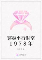 穿越平行時空1978年