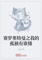 賽羅奧特曼之我的孤獨有誰懂