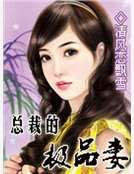 總裁的極品妻