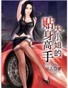 大小姐的貼身高手