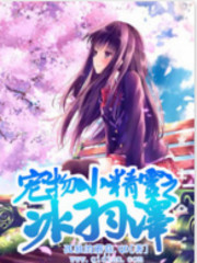 神奇寶貝之爭霸