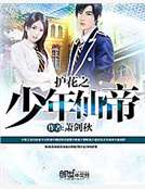 護花之少年仙帝