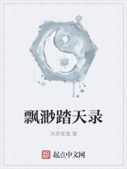 飄渺踏天錄