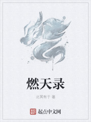 燃天錄