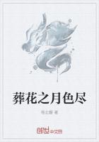 葬花之月色盡