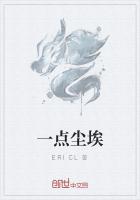 一點塵埃