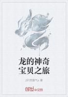 龍的神奇寶貝之旅