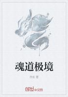 魂道極境
