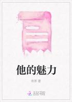 他的魅力