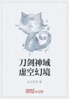 刀劍神域虛空幻境