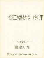紅樓夢序評