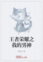 王者榮耀之我的男神