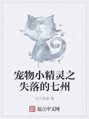 寵物小精靈之失落的七州