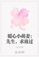 暖心小萌妻：先生，求放過