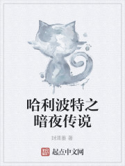 哈利波特之暗夜傳說