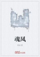 魂鳳