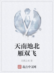 天南地北雁雙飛