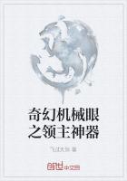 奇幻機械眼之領主神器