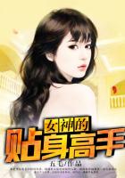 女神的貼身高手