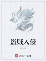 盜賊入侵
