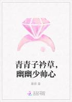 青青子衿草，幽幽少帥心
