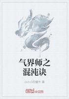 氣界師之混沌訣